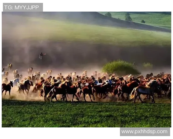 全省快马齐聚六安，竞技速度与热情